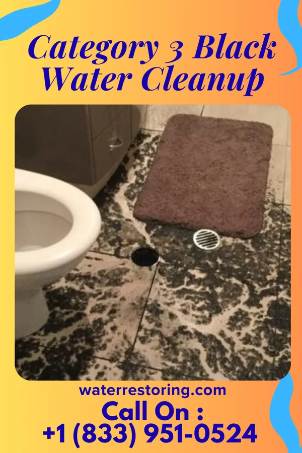 Category 3 Black Water Cleanup in Woodhaven, MI