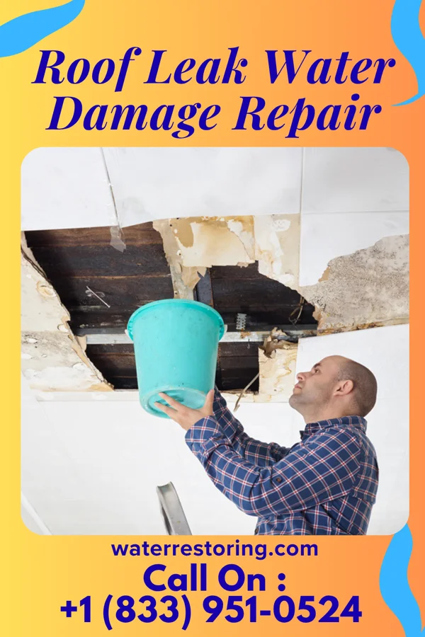 Roof Leak Water Damage Repair in Woodhaven, MI