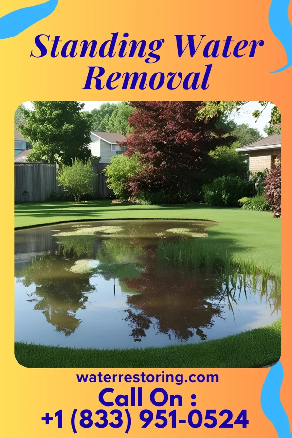 Standing Water Removal in Woodhaven, MI